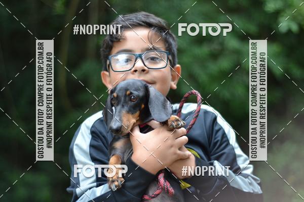 Buy your photos of the event2 PET RUNNER 2019 on Fotop