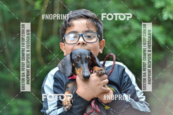 Buy your photos of the event2 PET RUNNER 2019 on Fotop