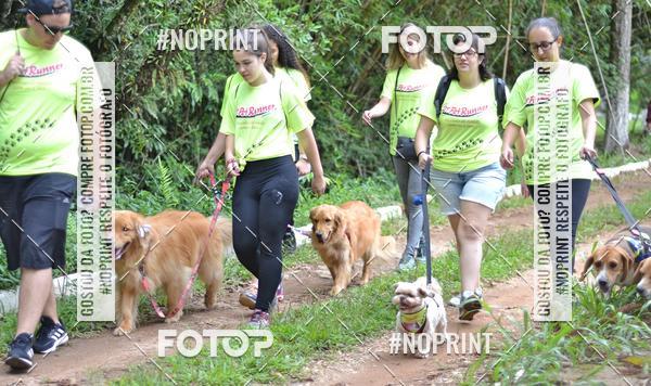 Buy your photos of the event2 PET RUNNER 2019 on Fotop