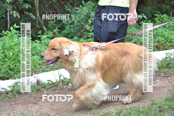 Buy your photos of the event2 PET RUNNER 2019 on Fotop
