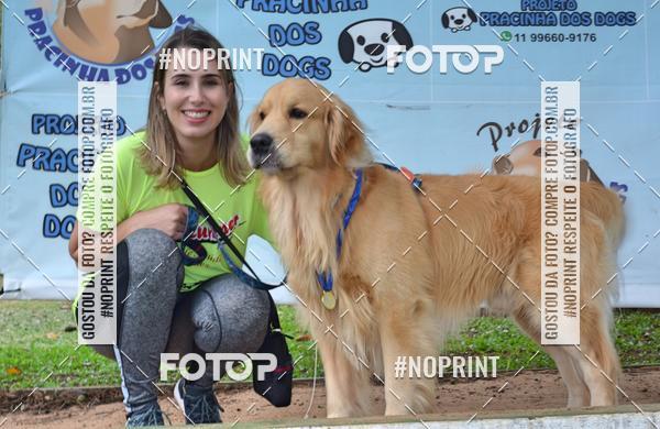 Buy your photos of the event2 PET RUNNER 2019 on Fotop