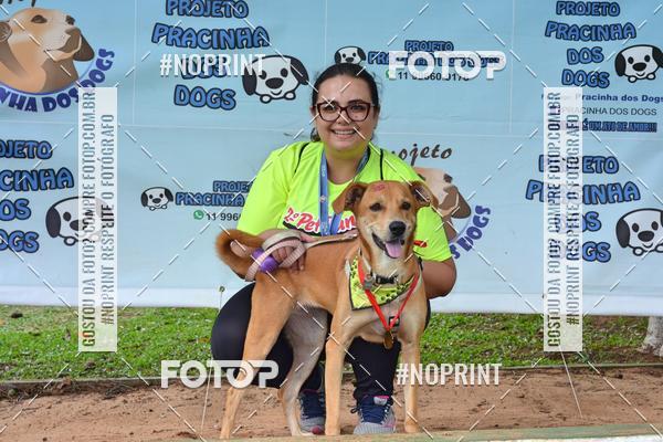 Buy your photos of the event2 PET RUNNER 2019 on Fotop