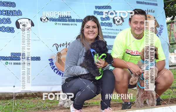 Buy your photos of the event2 PET RUNNER 2019 on Fotop