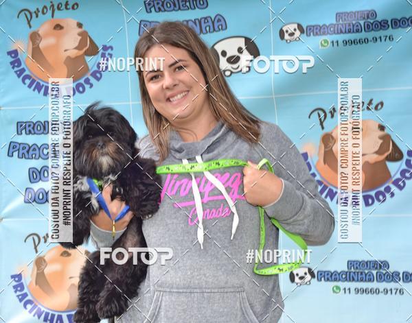 Buy your photos of the event2 PET RUNNER 2019 on Fotop