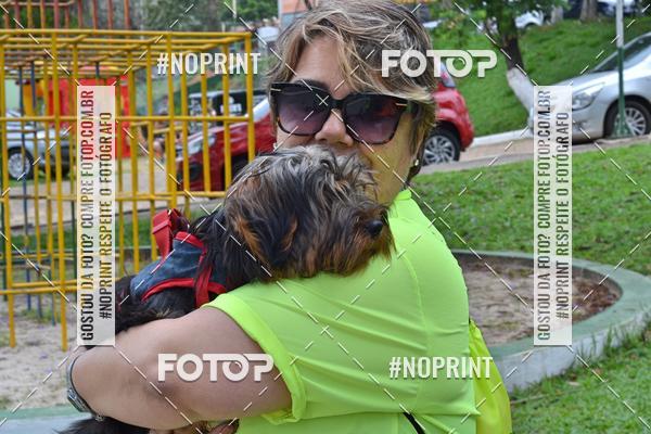 Buy your photos of the event2 PET RUNNER 2019 on Fotop