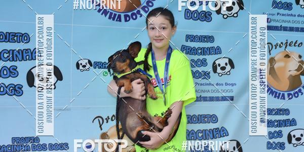 Buy your photos of the event2 PET RUNNER 2019 on Fotop