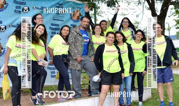 Buy your photos of the event2 PET RUNNER 2019 on Fotop