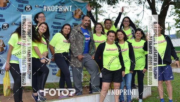Buy your photos of the event2 PET RUNNER 2019 on Fotop