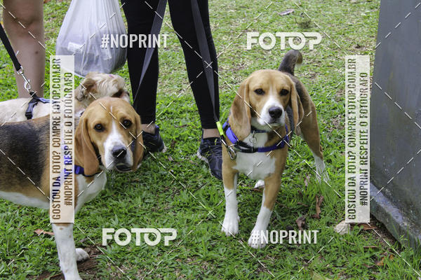 Buy your photos of the event2 PET RUNNER 2019 on Fotop