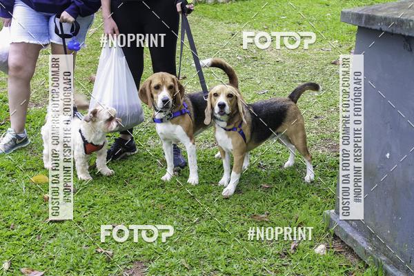 Buy your photos of the event2 PET RUNNER 2019 on Fotop