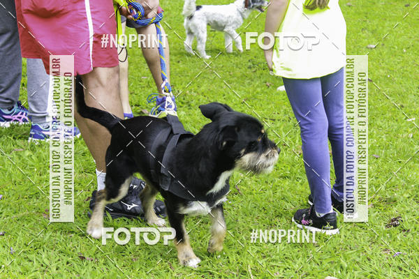 Buy your photos of the event2 PET RUNNER 2019 on Fotop