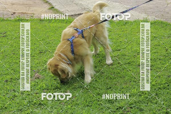 Buy your photos of the event2 PET RUNNER 2019 on Fotop