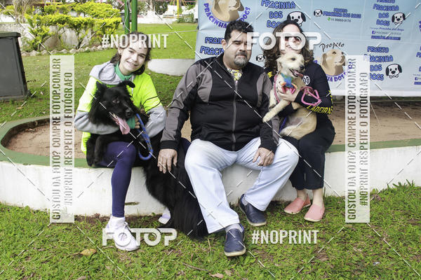 Buy your photos of the event2 PET RUNNER 2019 on Fotop