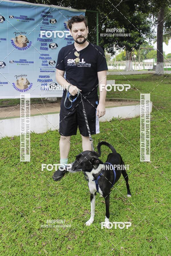Buy your photos of the event2 PET RUNNER 2019 on Fotop