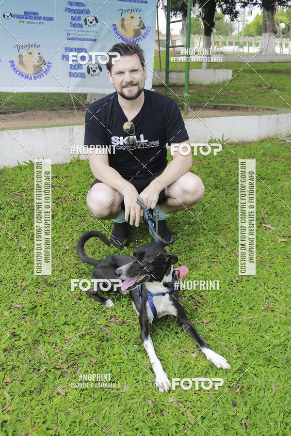 Buy your photos of the event2 PET RUNNER 2019 on Fotop