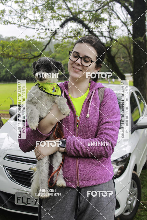 Buy your photos of the event2 PET RUNNER 2019 on Fotop