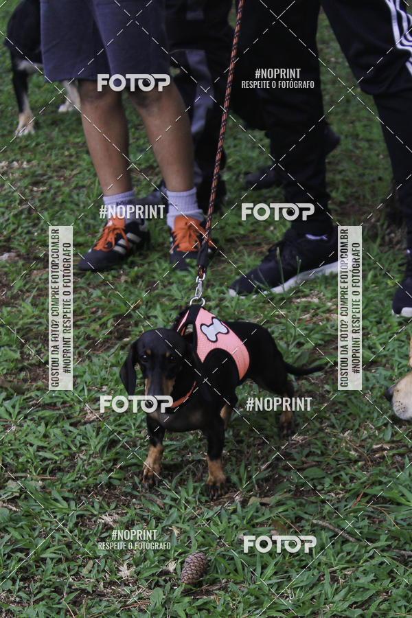 Buy your photos of the event2 PET RUNNER 2019 on Fotop