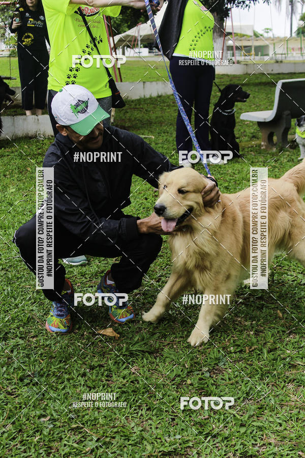 Buy your photos of the event2 PET RUNNER 2019 on Fotop