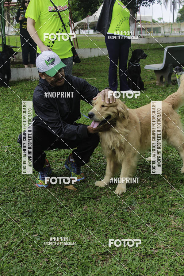 Buy your photos of the event2 PET RUNNER 2019 on Fotop