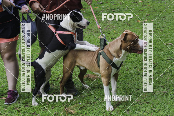 Buy your photos of the event2 PET RUNNER 2019 on Fotop