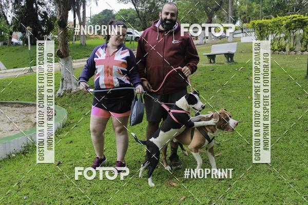 Buy your photos of the event2 PET RUNNER 2019 on Fotop