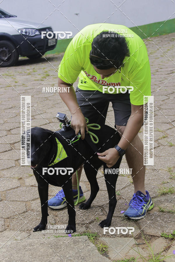 Buy your photos of the event2 PET RUNNER 2019 on Fotop