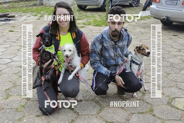 Buy your photos of the event2 PET RUNNER 2019 on Fotop