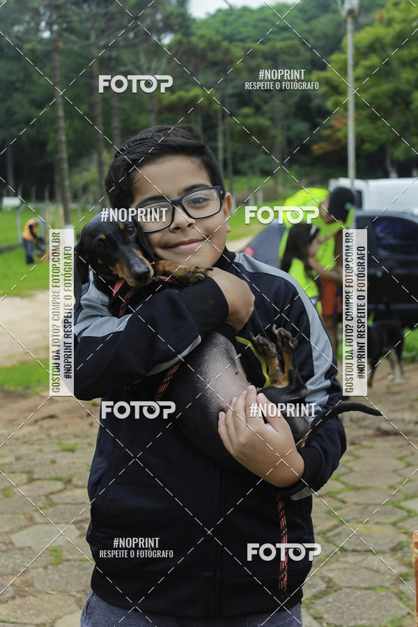 Buy your photos of the event2 PET RUNNER 2019 on Fotop