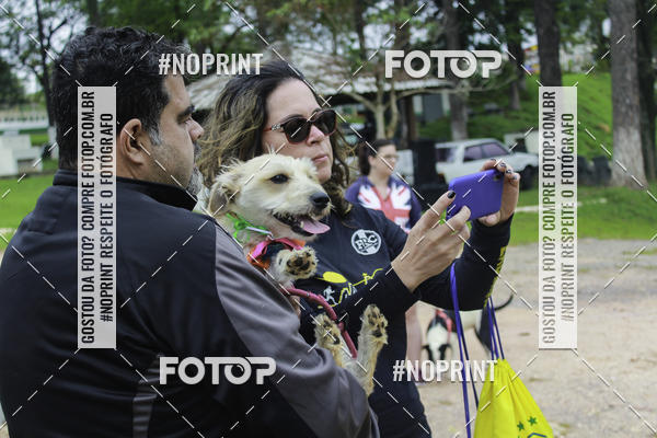 Buy your photos of the event2 PET RUNNER 2019 on Fotop