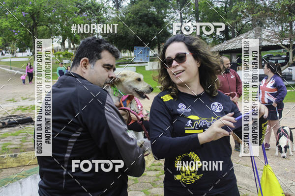 Buy your photos of the event2 PET RUNNER 2019 on Fotop