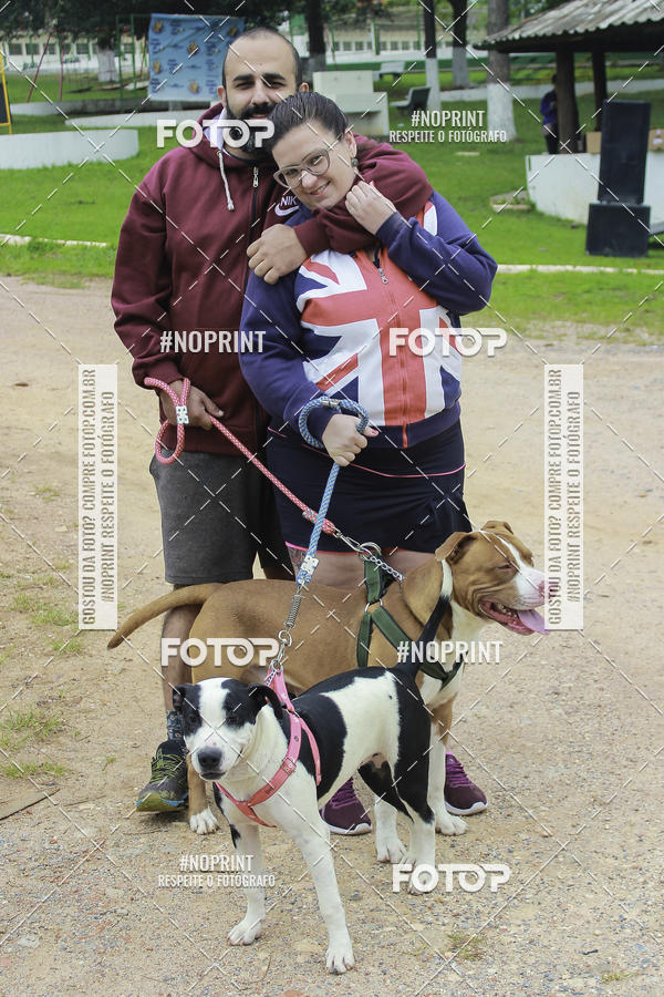 Buy your photos of the event2 PET RUNNER 2019 on Fotop