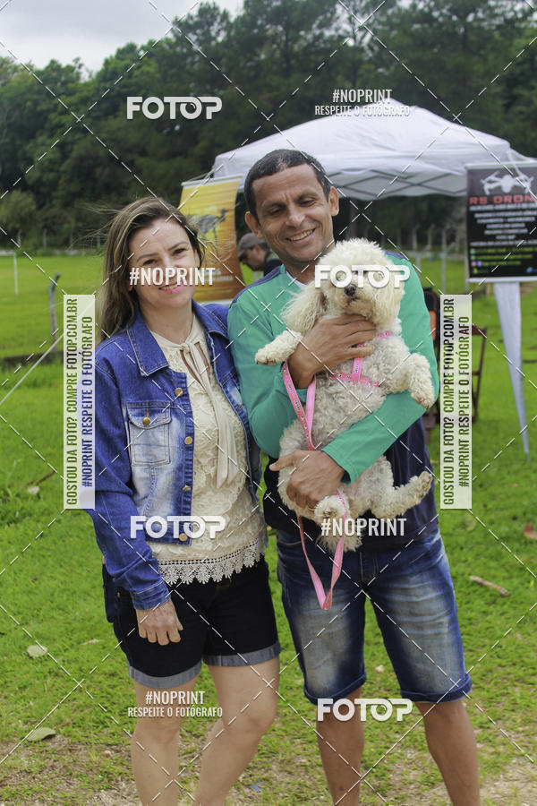 Buy your photos of the event2 PET RUNNER 2019 on Fotop