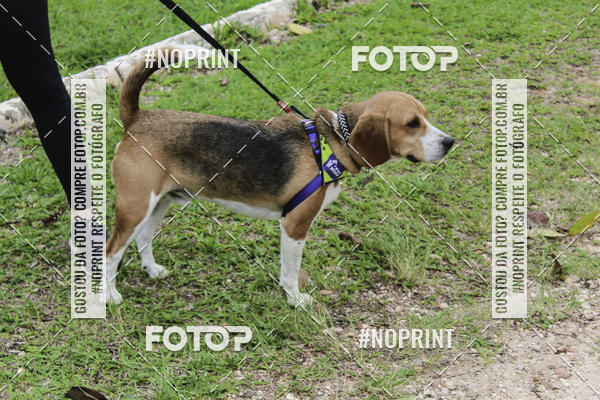 Buy your photos of the event2 PET RUNNER 2019 on Fotop