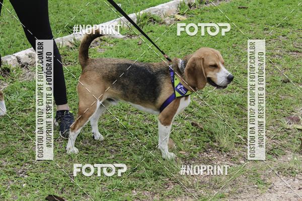 Buy your photos of the event2 PET RUNNER 2019 on Fotop