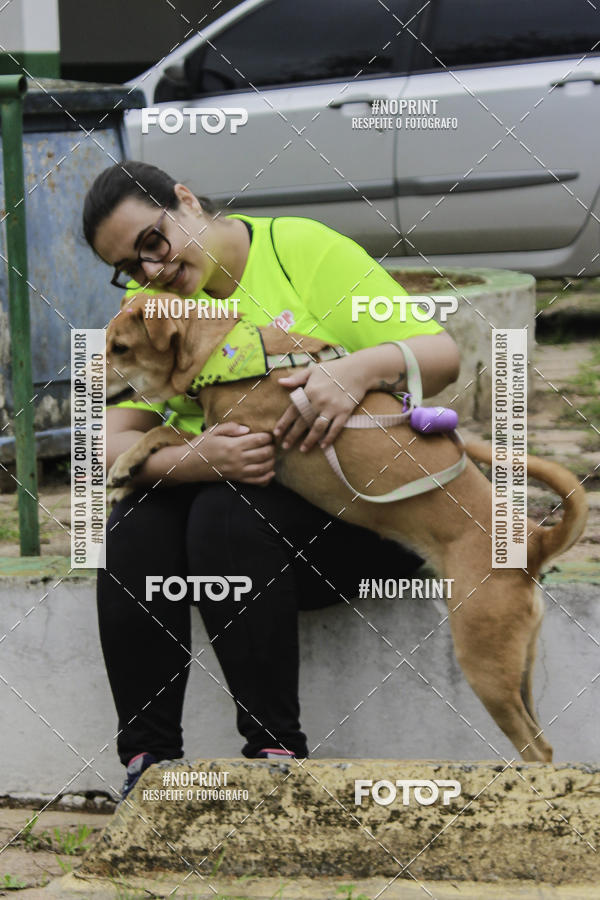 Buy your photos of the event2 PET RUNNER 2019 on Fotop