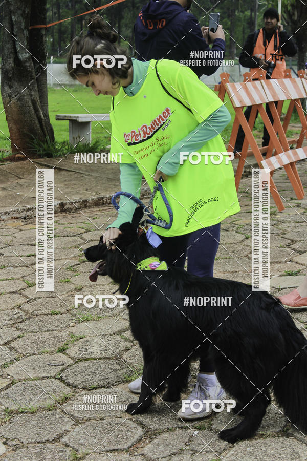 Buy your photos of the event2 PET RUNNER 2019 on Fotop