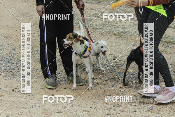Buy your photos of the event2 PET RUNNER 2019 on Fotop