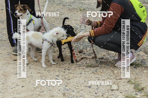 Buy your photos of the event2 PET RUNNER 2019 on Fotop