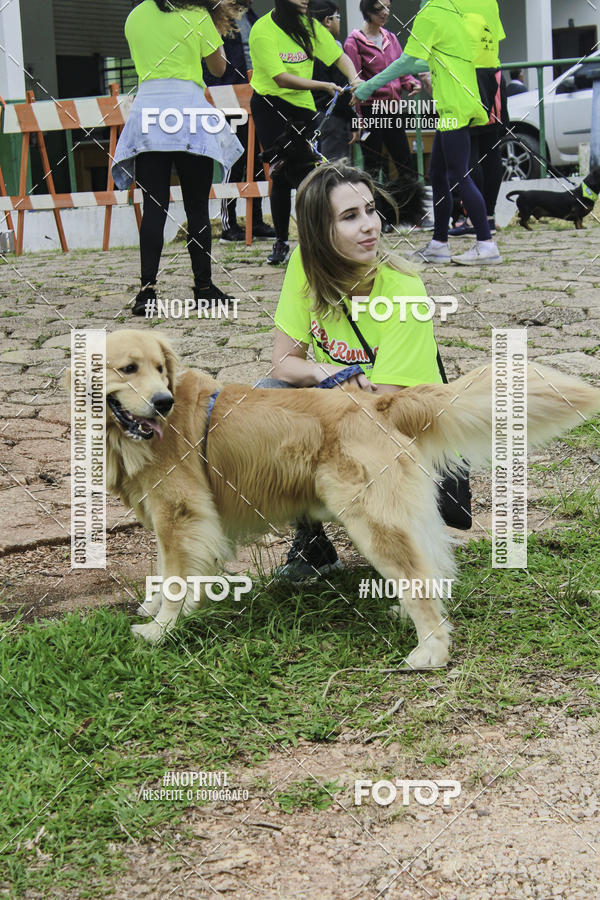 Buy your photos of the event2 PET RUNNER 2019 on Fotop