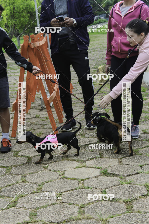 Buy your photos of the event2 PET RUNNER 2019 on Fotop
