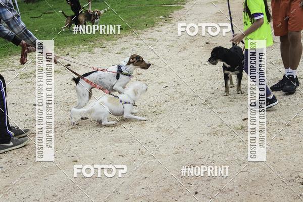 Buy your photos of the event2 PET RUNNER 2019 on Fotop