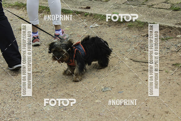 Buy your photos of the event2 PET RUNNER 2019 on Fotop