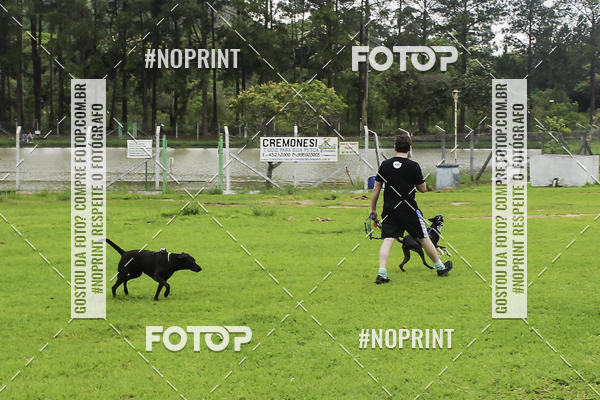 Buy your photos of the event2 PET RUNNER 2019 on Fotop