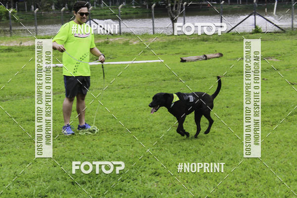 Buy your photos of the event2 PET RUNNER 2019 on Fotop