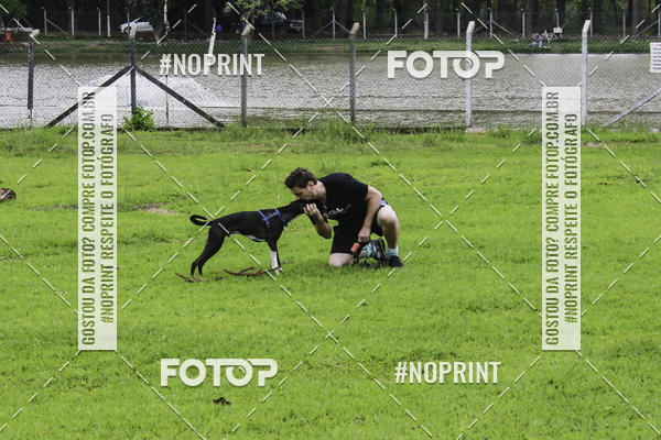 Buy your photos of the event2 PET RUNNER 2019 on Fotop