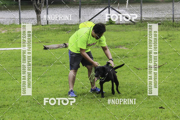 Buy your photos of the event2 PET RUNNER 2019 on Fotop