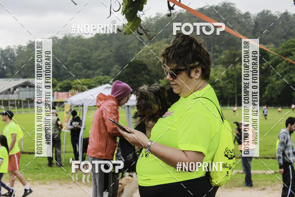 Buy your photos of the event2 PET RUNNER 2019 on Fotop