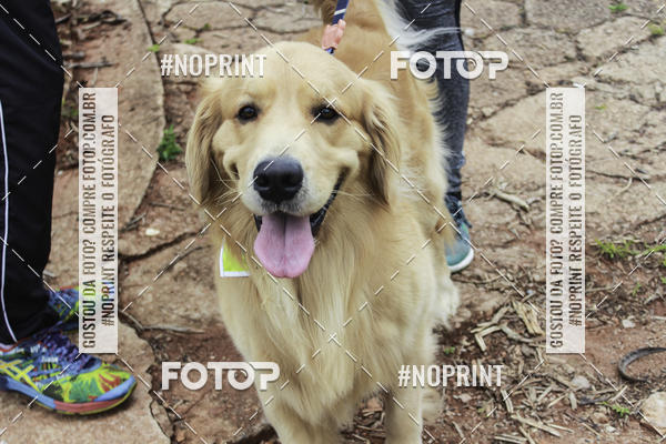 Buy your photos of the event2 PET RUNNER 2019 on Fotop