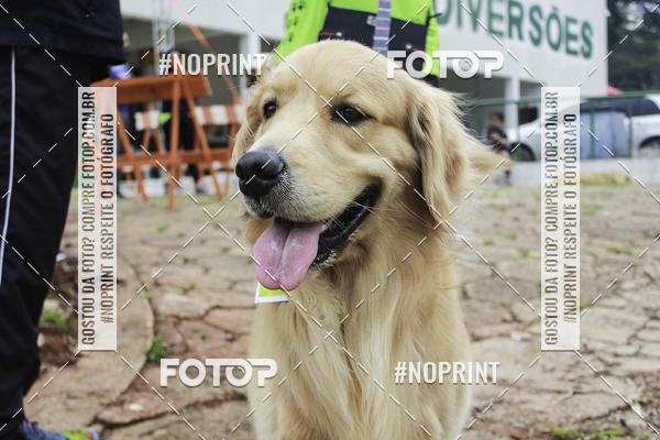 Buy your photos of the event2 PET RUNNER 2019 on Fotop