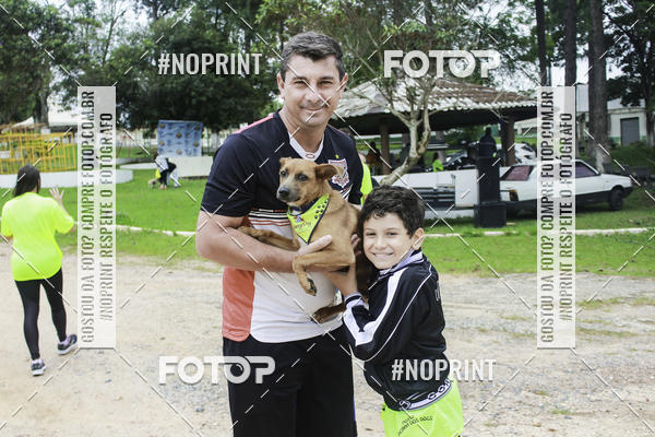 Buy your photos of the event2 PET RUNNER 2019 on Fotop